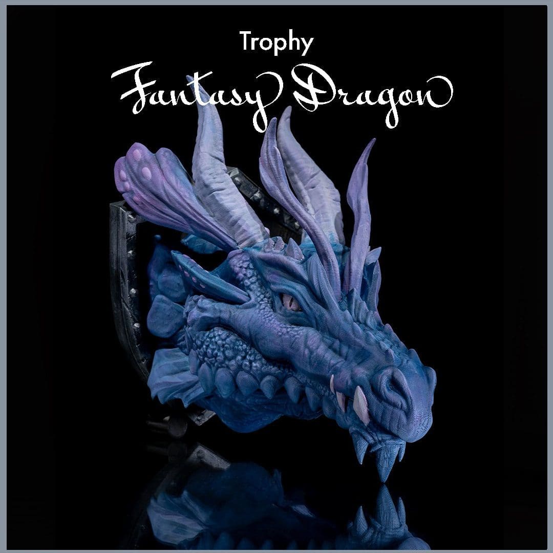 Fantasy Dragon – Trofeo da parete